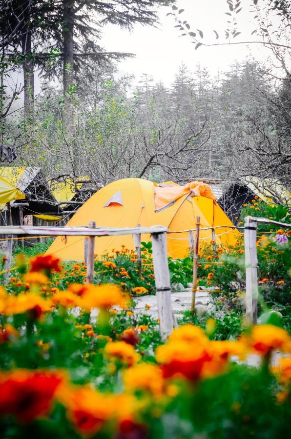 Himtrek Riverside Camps & Hostel Manali Exterior foto